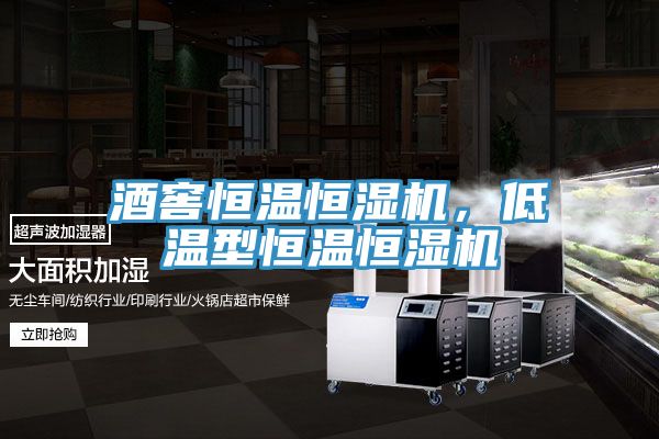 酒窖恒溫恒濕機(jī)，低溫型恒溫恒濕機(jī)