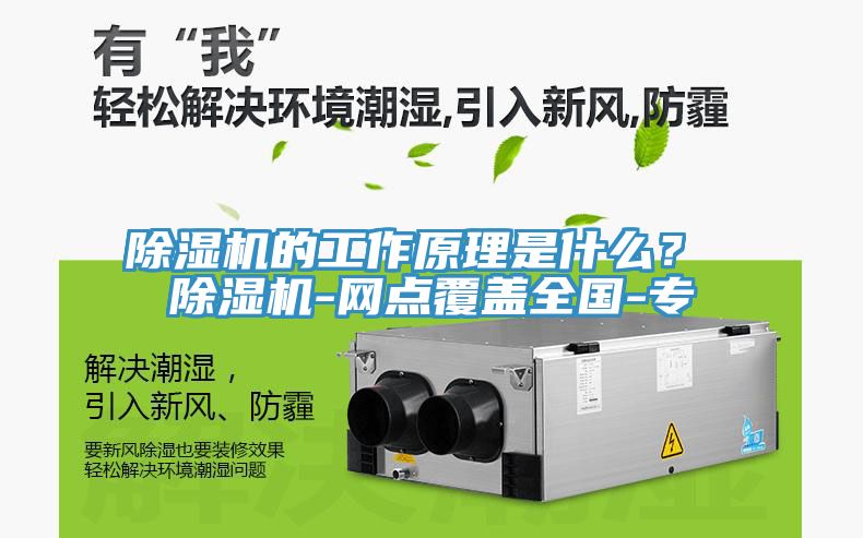 除濕機(jī)的工作原理是什么？ 除濕機(jī)-網(wǎng)點(diǎn)覆蓋全國(guó)-專(zhuān)