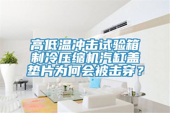 高低溫沖擊試驗(yàn)箱制冷壓縮機(jī)汽缸蓋墊片為何會(huì)被擊穿？