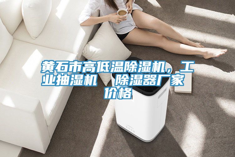 黃石市高低溫除濕機，工業(yè)抽濕機  除濕器廠家 價格