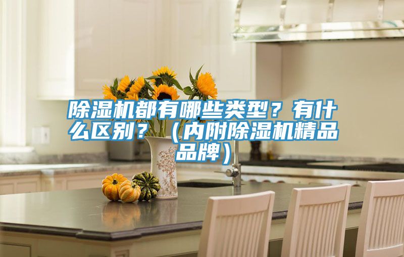 除濕機(jī)都有哪些類型？有什么區(qū)別？（內(nèi)附除濕機(jī)精品品牌）