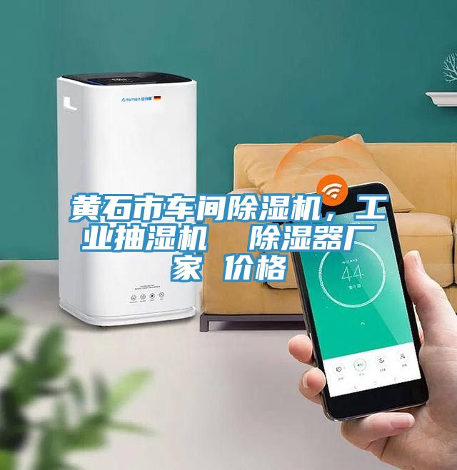 黃石市車間除濕機，工業(yè)抽濕機  除濕器廠家 價格