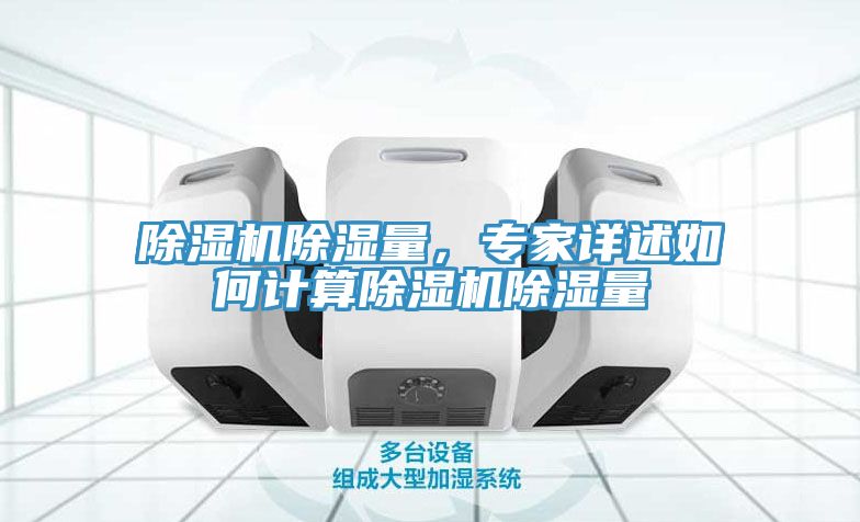 除濕機除濕量，專家詳述如何計算除濕機除濕量