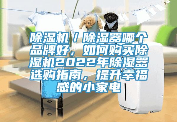 除濕機(jī)／除濕器哪個(gè)品牌好，如何購(gòu)買(mǎi)除濕機(jī)2022年除濕器選購(gòu)指南，提升幸福感的小家電