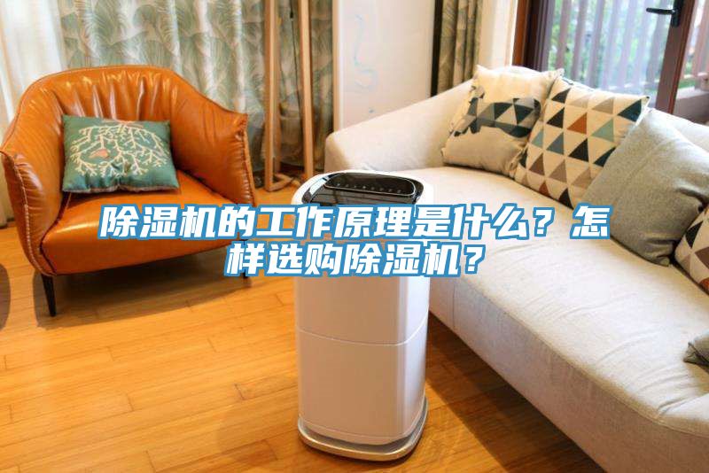 除濕機(jī)的工作原理是什么？怎樣選購(gòu)除濕機(jī)？