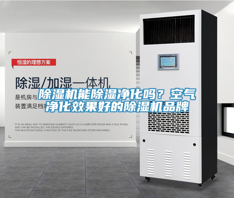 除濕機(jī)能除濕凈化嗎？空氣凈化效果好的除濕機(jī)品牌