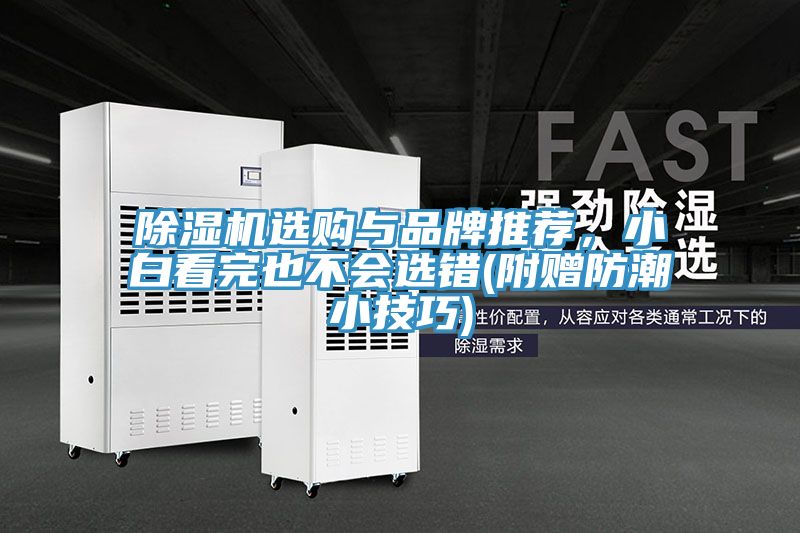 除濕機(jī)選購與品牌推薦，小白看完也不會(huì)選錯(cuò)(附贈(zèng)防潮小技巧)