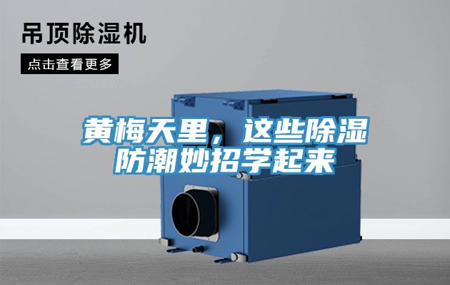 黃梅天里，這些除濕防潮妙招學起來