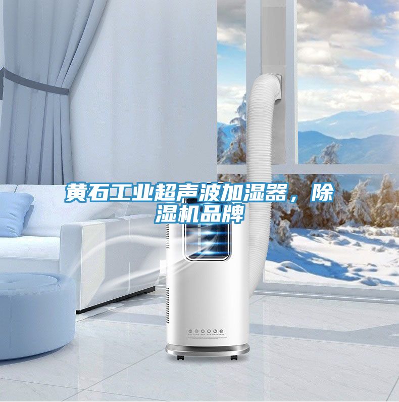 黃石工業(yè)超聲波加濕器，除濕機(jī)品牌