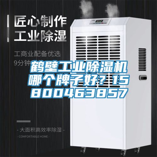 鶴壁工業(yè)除濕機(jī)哪個(gè)牌子好？15800463857