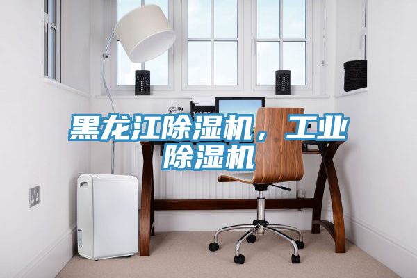 黑龍江除濕機(jī)，工業(yè)除濕機(jī)